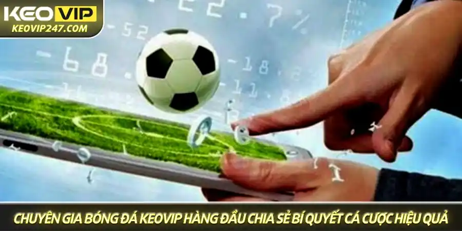 Các chuyên gia bóng đá Keovip hàng đầu soạn thảo ra bí quyết cá cược hiệu quả Các chuyên gia bóng đá Keovip hàng đầu soạn thảo ra bí quyết cá cược hiệu quả