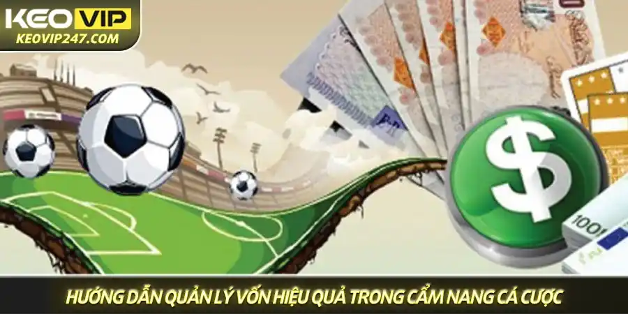 Hướng dẫn quản lý vốn hiệu quả trong cẩm nang cá cược Hướng dẫn quản lý vốn hiệu quả trong cẩm nang cá cược
