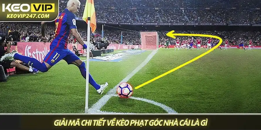 Giải mã chi tiết về kèo phạt góc nhà cái là gì Giải mã chi tiết về kèo phạt góc nhà cái là gì