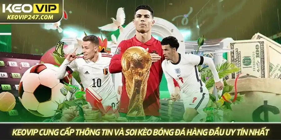 Keovip là địa chỉ đáng tin cậy, chuyên cung cấp thông tin và soi kèo bóng đá hàng đầu Keovip là địa chỉ đáng tin cậy, chuyên cung cấp thông tin và soi kèo bóng đá hàng đầu