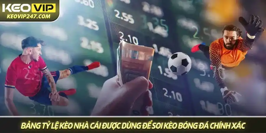 Bảng tỷ lệ kèo nhà cái được dùng để soi kèo bóng đá chính xác Bảng tỷ lệ kèo nhà cái được dùng để soi kèo bóng đá chính xác
