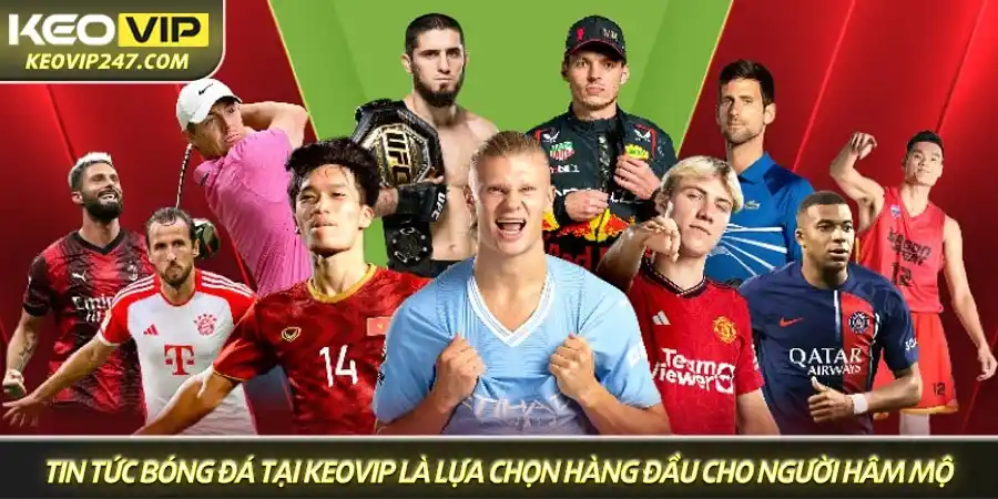 Chuyên trang tin tức bóng đá tại Keovip là lựa chọn hàng đầu cho người hâm mộ Chuyên trang tin tức bóng đá tại Keovip là lựa chọn hàng đầu cho người hâm mộ
