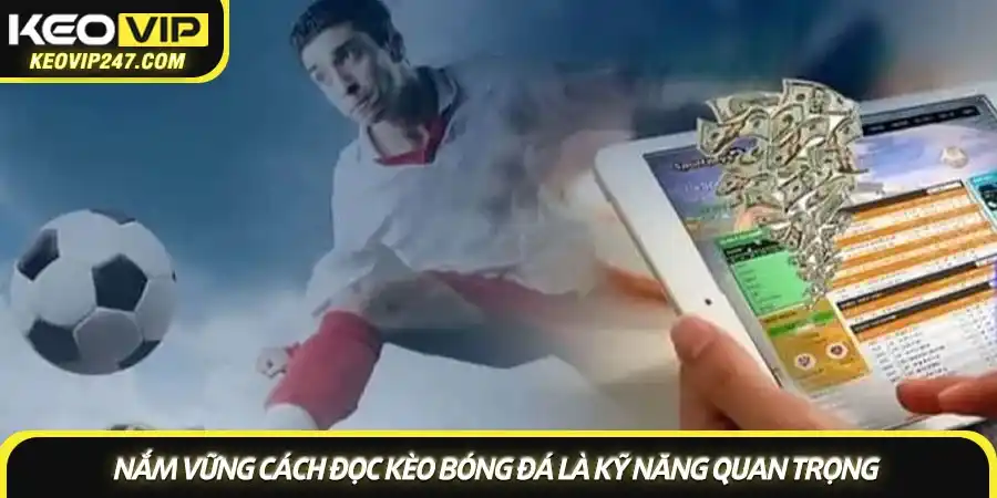 Cách đọc kèo bóng đá - Hướng dẫn toàn tập từ A-Z cho người mới 3 Nắm vững cách đọc kèo bóng đá là kỹ năng quan trọng