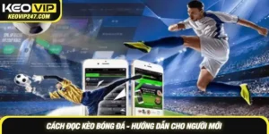 Cách đọc kèo bóng đá Keovip - Hướng dẫn chi tiết cho người mới
