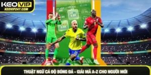 Thuật ngữ cá độ bóng đá - Giải mã A-Z cho người mới cần nắm