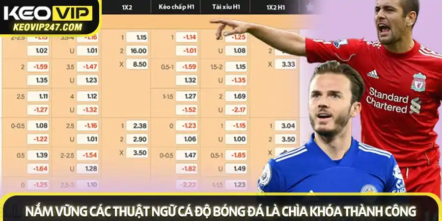 Toàn tập thuật ngữ cá độ bóng đá 2025 cho người mới bắt đầu 1 Nắm vững các thuật ngữ cá độ bóng đá là chìa khóa thành công