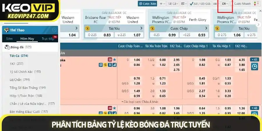 Toàn tập thuật ngữ cá độ bóng đá 2025 cho người mới bắt đầu 3 Phân tích bảng tỷ lệ kèo bóng đá trực tuyến